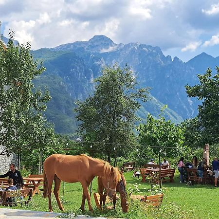 Villa Gjecaj Guesthouse And Restaurant Theth Eksteriør billede