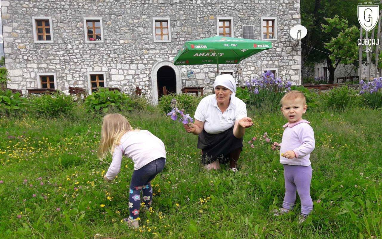 Villa Gjecaj Guesthouse And Restaurant Theth Eksteriør billede