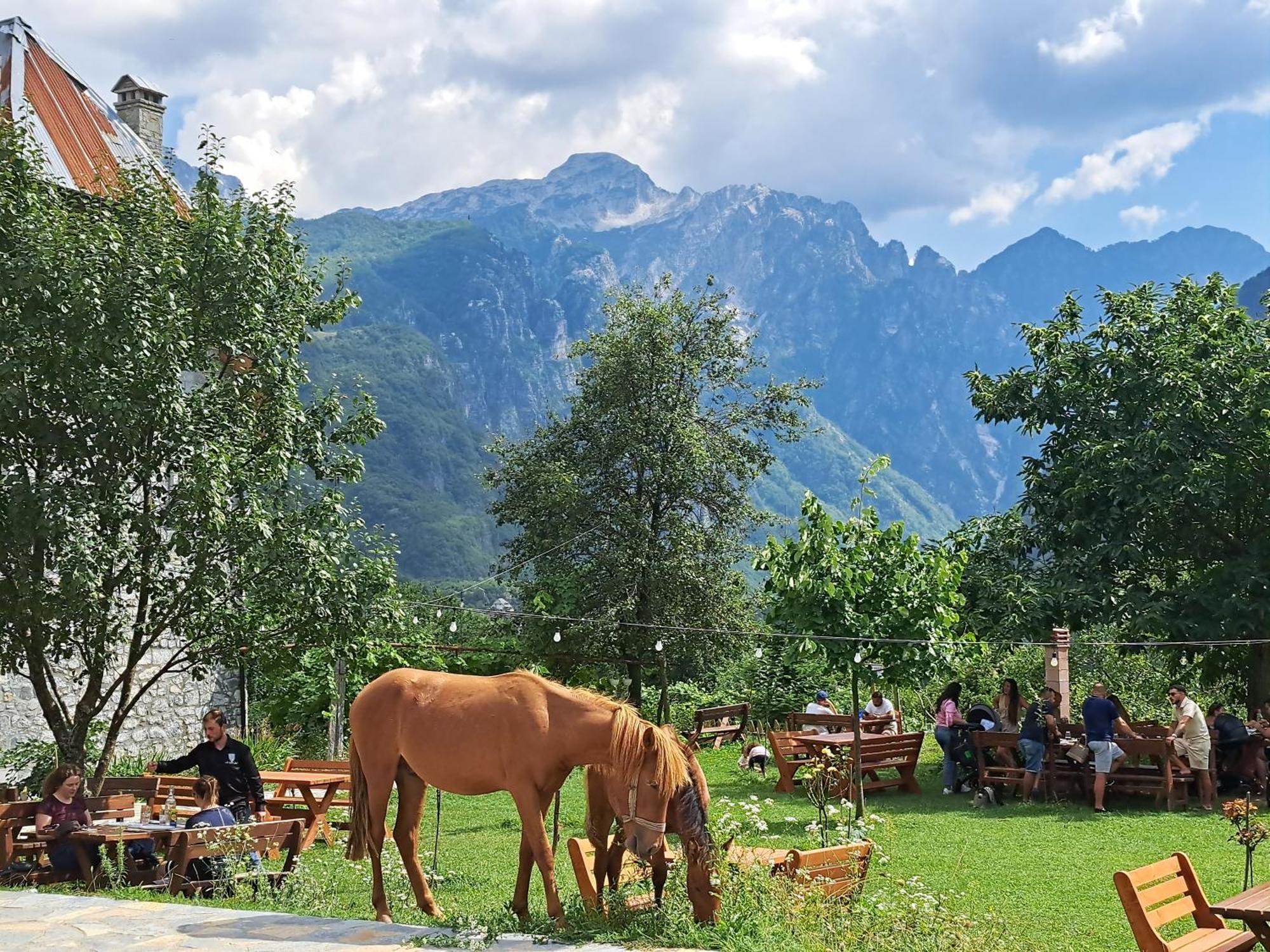 Villa Gjecaj Guesthouse And Restaurant Theth Eksteriør billede